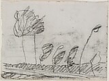 Seven Trees, Paula Modersohn-Becker (German, Dresden 1876–1907 Worpswede), Charcoal on paper