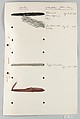 Bauhaus Archive, Unknown Designer, Pen and ink on paper, cut and pasted papers and textile samples on paper