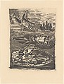 Frogs, from ¦Picasso: Original Etchings for the Texts of Buffon¦, Pablo Picasso  Spanish, Lift ground aquatint