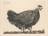 The Hen, Pablo Picasso  Spanish, Aquatint and drypoint