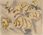 Fish Series, No. 3, Charles Demuth  American, Watercolor and graphite on paper