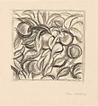 "Peaches and Leaves" after Cézanne, Henri Matisse  French, Charcoal on paper