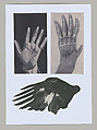 Untitled (Unlearning Instincts), Eva Koťátková (Czech, born Prague, 1982), 96 collages on paper