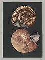 Untitled (Unlearning Instincts), Eva Koťátková (Czech, born Prague, 1982), 96 collages on paper