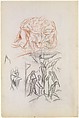 Untitled, Jackson Pollock (American, Cody, Wyoming 1912–1956 East Hampton, New York), Colored pencils on paper (recto) ; colored pencils on paper (verso)
