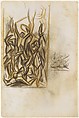 Untitled, Jackson Pollock (American, Cody, Wyoming 1912–1956 East Hampton, New York), Colored pencil and graphite on paper