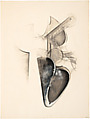 Untitled (Shoetree series), Jay DeFeo American, Graphite, charcoal and acrylic on paper, selectively varnished