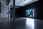 The Critical Dictionary of Southeast Asia, Ho Tzu Nyen (Singaporean, born 1976), Single-channel digital video installation, color,  5-channel sound, algorithmic editing system; LED lights, computer