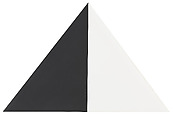 Black White, Ellsworth Kelly  American, Oil on canvas, two joined panels