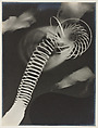 Champs délicieux (Delicious Fields), Man Ray (American, Philadelphia, Pennsylvania 1890–1976 Paris), Portfolio of twelve gelatin silver prints