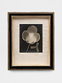 Rayograph, Man Ray  American, Gelatin silver paper