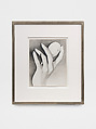 Untitled (Hand with Egg), Man Ray  American, Solarized photograph