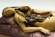 Anatomical Venus, Fontana Workshop (Italian, 1754–1805), Wood skeleton, transparent wax, variously colored waxes with pigments, hair, venetian glass, and rosewood, Italian