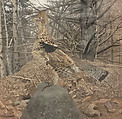 Male Ruffed Grouse in the Forest, Gerald Thayer American, Watercolor on paper