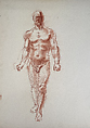 Untitled (Male nude study), Reginald Marsh  American, Red chalk on paper