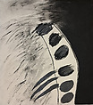 From the Series "Origin", Number 9, Laura Anderson Barbata Mexican, Charcoal and graphite on paper