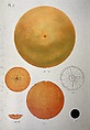 Album series: Orange Feb. 27, 1996, Donald Sultan  American, Lithograph, woodcut, and etching on handmade paper