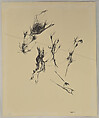 Untitled, Paul Păun  Romanian, Pen and black ink on paper
