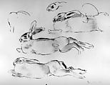 Rabbits (recto); Studies of Rabbits (verso), Jane Poupelet  French, Ink and wash on paper
