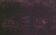 Grasshopper, Peter Doig (British, born Edinburgh, Scotland, 1959), Portfolio of 10 etchings, title page, colophon and box