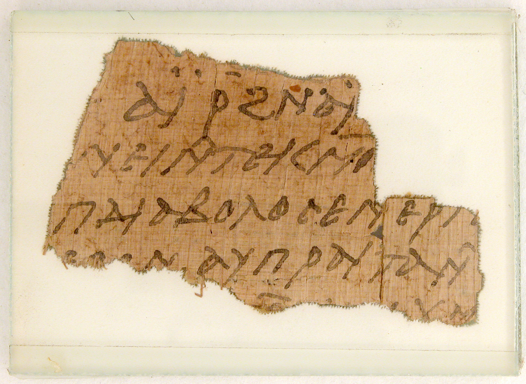 Официальный язык Египта. The language of the Papyri.