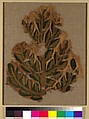 Fragment of a Hanging with a Tree, Linen, wool, Byzantine