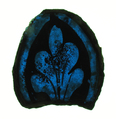 Glass Fragment, Pot metal glass, European