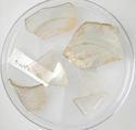Glass Fragments, Glass (clear), Coptic
