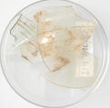 Glass Fragments, Glass (clear), Coptic