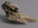 Claw Fragment, Wood, Coptic