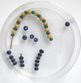 Beads, Glass, Coptic