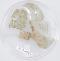 Glass Fragments, Glass, Coptic