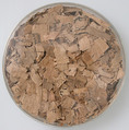 Papyri Fragments, Papyrus and ink, Coptic