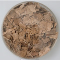 Papyri Fragments, Papyrus and ink, Coptic