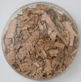 Papyri Fragments, Papyrus and ink, Coptic