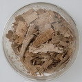 Papyri Fragments, Papyrus and ink, Coptic
