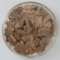 Papyri Fragments, Papyrus and ink, Coptic