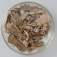 Papyri Fragments, Papyrus and ink, Coptic