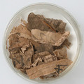 Papyri Fragments, Papyrus and ink, Coptic
