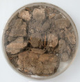 Papyri Fragments and Mud, Papyrus, ink, and mud, Coptic
