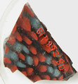 Glass Fragments from a Vessel, Glass, Coptic