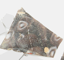 Glass Fragments from a Vessel, Glass, Coptic