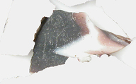 Glass Fragments from a Vessel, Glass, Coptic