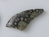 Glass Fragments from a Vessel, Glass, Coptic