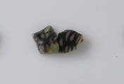 Glass Fragments from a Vessel, Glass, Coptic