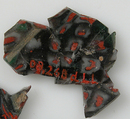Glass Fragments from a Vessel, Glass, Coptic