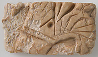Relief Fragment with Lotus Design, Ivory, Coptic