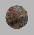 Disk Brooch, Copper alloy, paste, iron core, Frankish