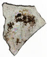 Fragment, Stained Glass, Crusader
