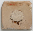 Tile, Earthenware, tin-glaze, Spanish (?)